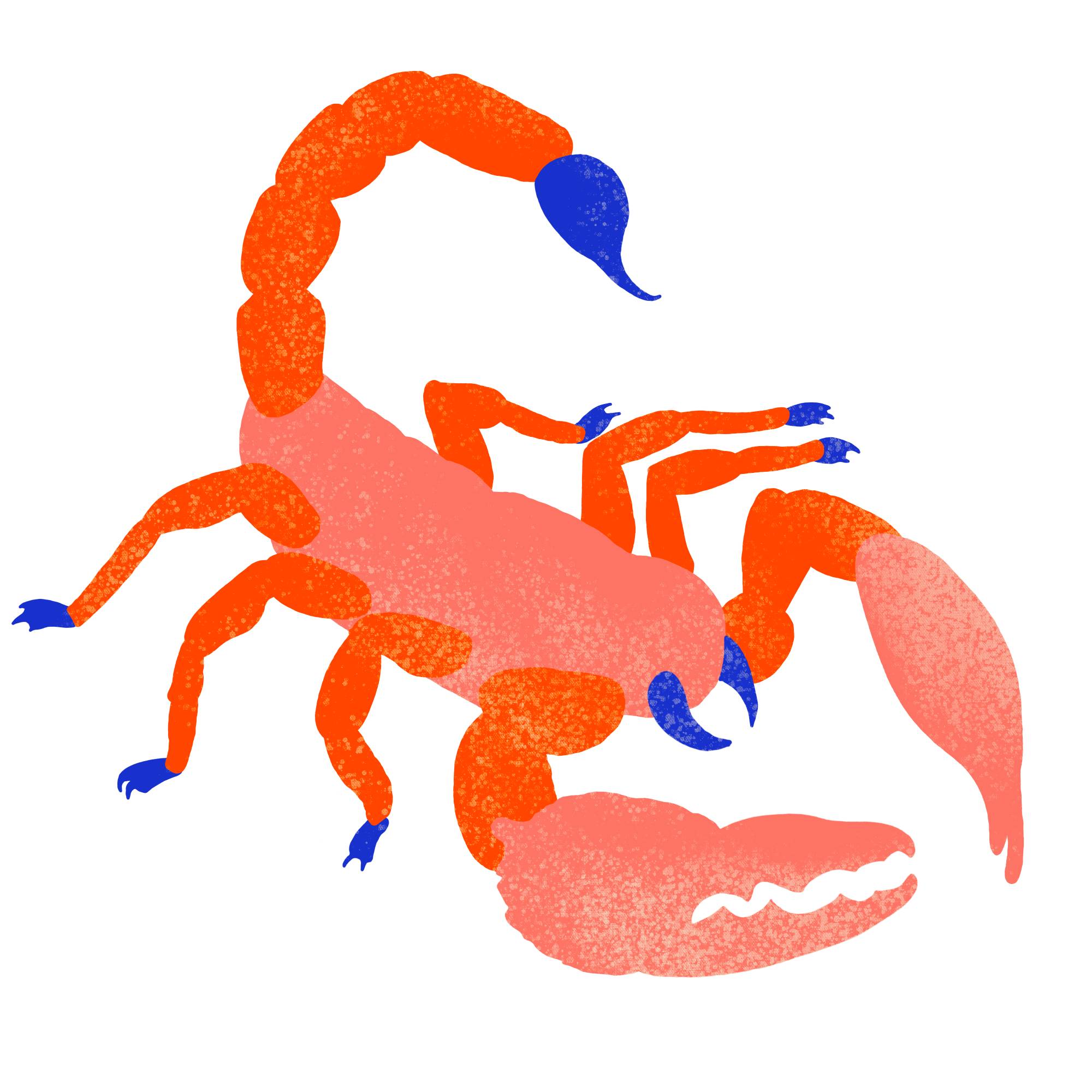 SCORPION | JP MILLOT Quelles pierres précieuses choisir selon son signe astrologique ? Saint-Cyr-sur-Loire 7
